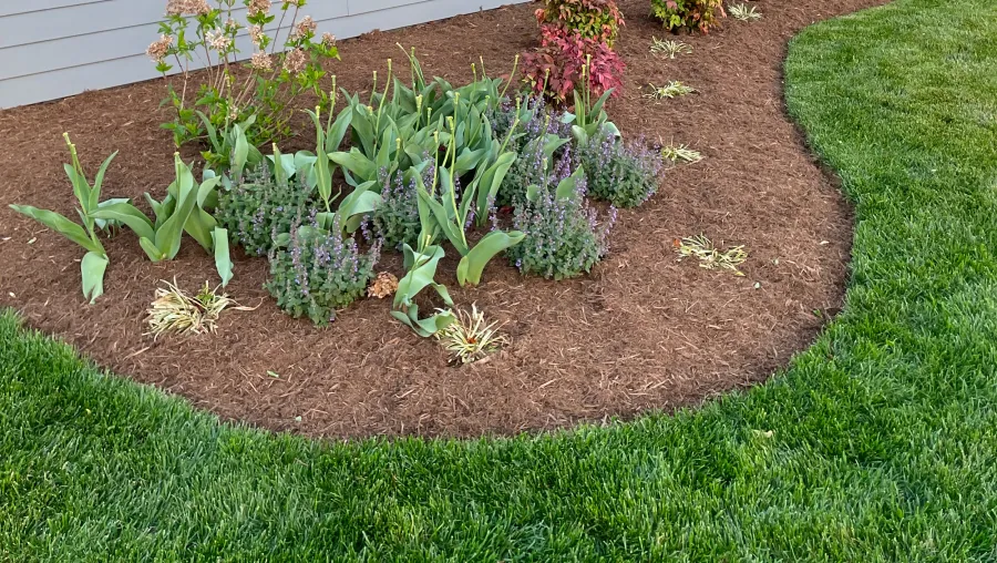 Landscaping Design Landscaping Design
